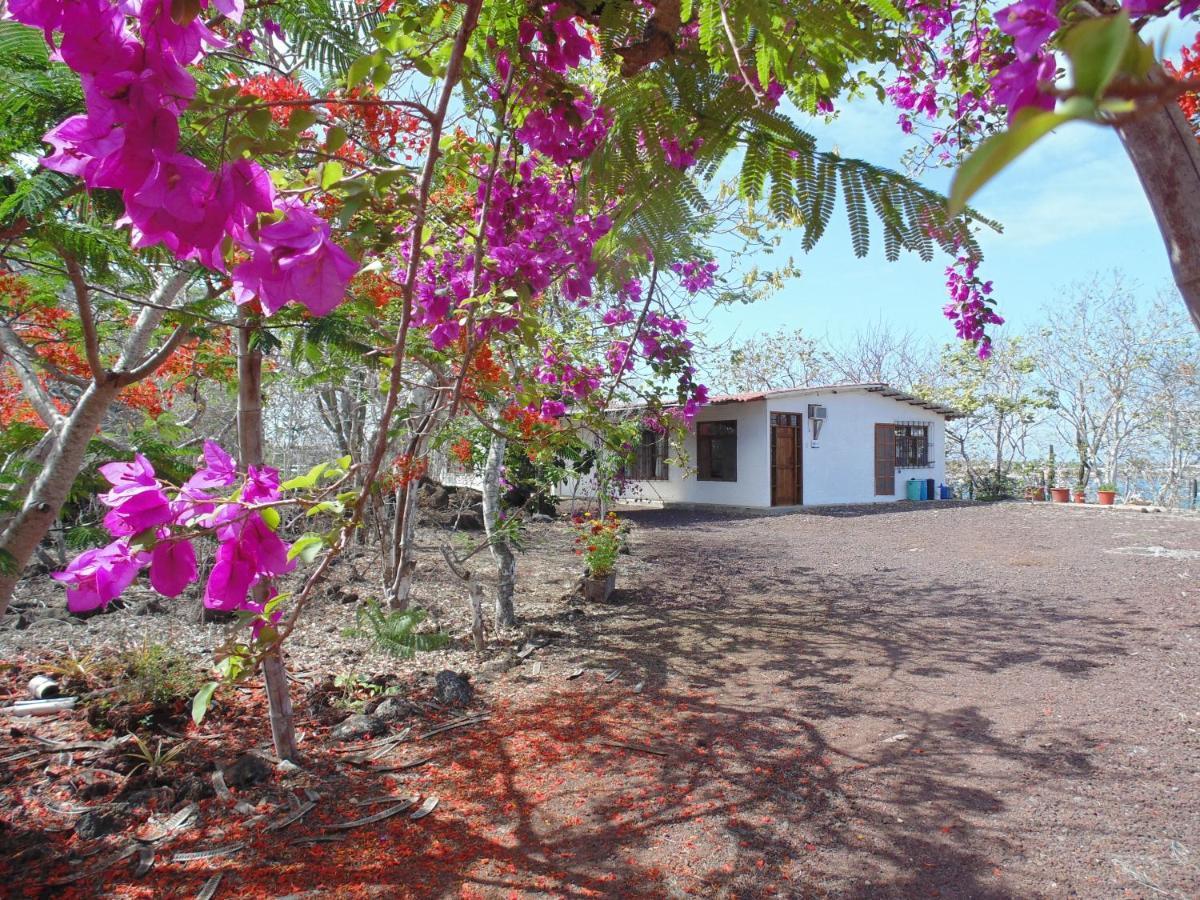 Casa Verde Vacation Garden Home San Cristóbal 外观 照片